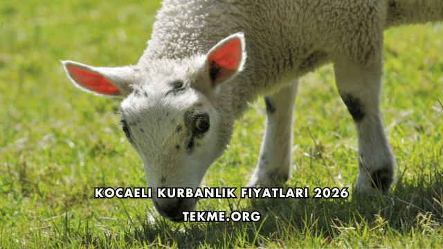 Kocaeli Kurbanlık Fiyatları 2026