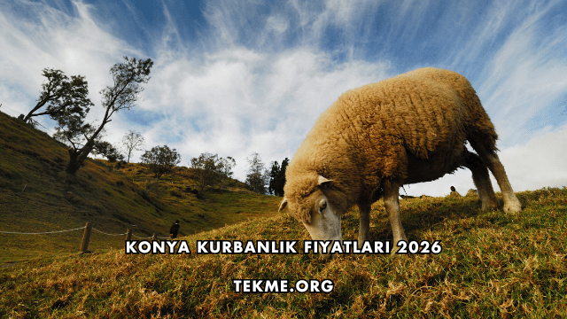 Konya Kurbanlık Fiyatları 2026