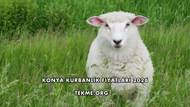Konya Kurbanlık Fiyatları 2026