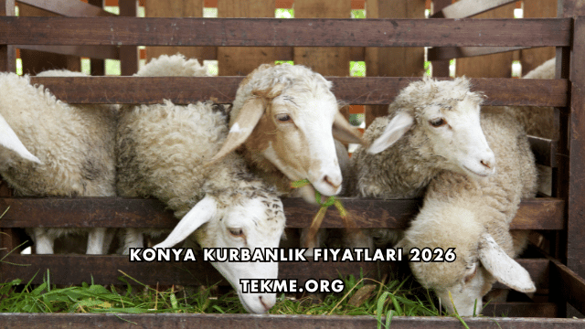 Konya Kurbanlık Fiyatları 2026