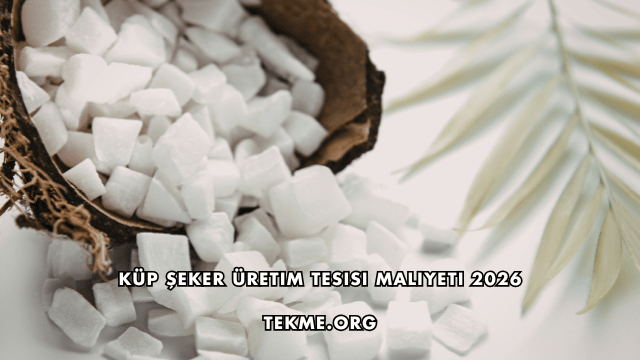 Küp Şeker Üretim Tesisi Maliyeti 2026