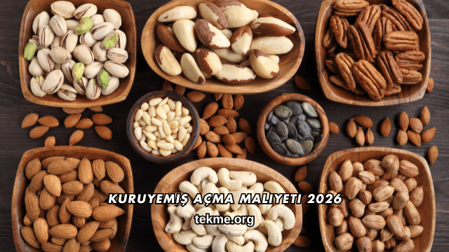 Kuruyemiş Açma Maliyeti 2026