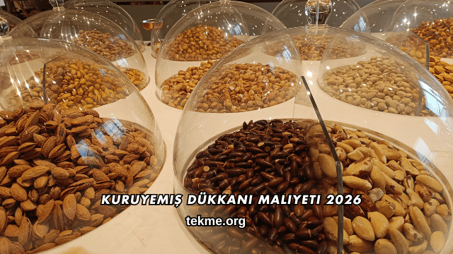 Kuruyemiş Dükkanı Maliyeti 2026