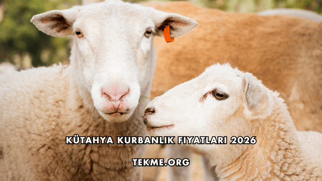 Kütahya Kurbanlık Fiyatları 2026