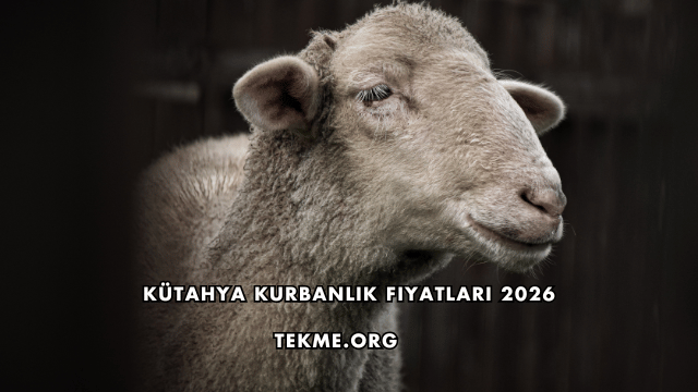 Kütahya Kurbanlık Fiyatları 2026