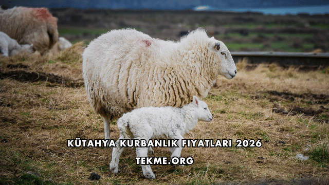 Kütahya Kurbanlık Fiyatları 2026