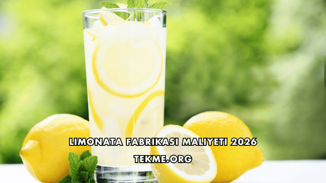 Limonata Fabrikası Maliyeti 2026