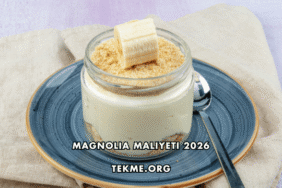 Magnolia Maliyeti 2026