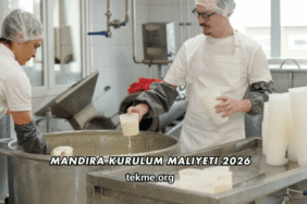 Mandıra Kurulum Maliyeti 2026
