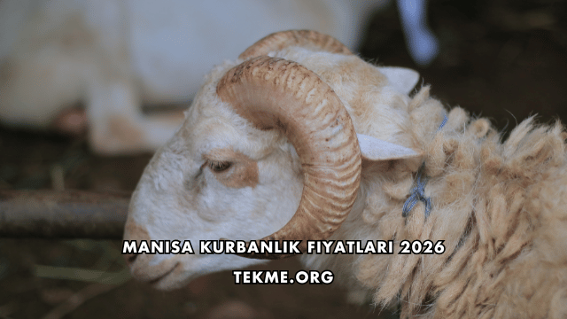 Manisa Kurbanlık Fiyatları 2026