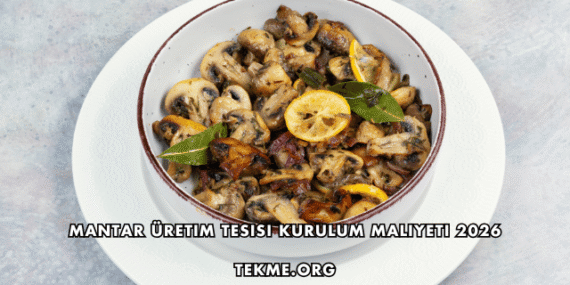 Mantar Üretim Tesisi Kurulum Maliyeti 2026