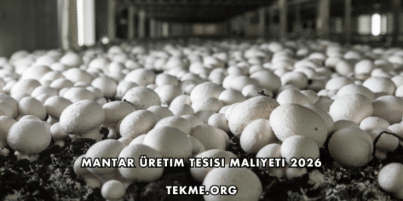 Mantar Üretim Tesisi Maliyeti 2026