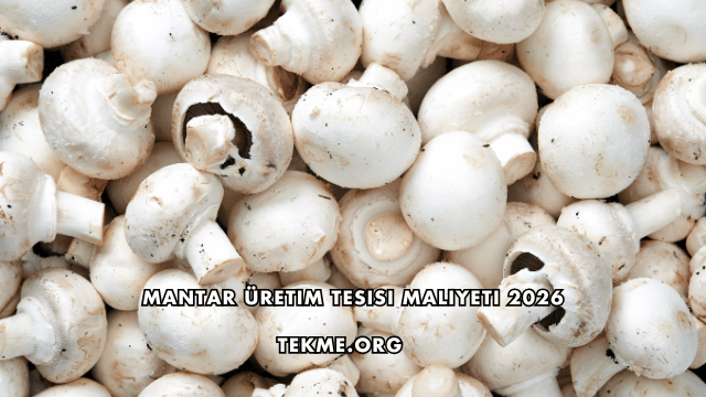 Mantar Üretim Tesisi Maliyeti 2026