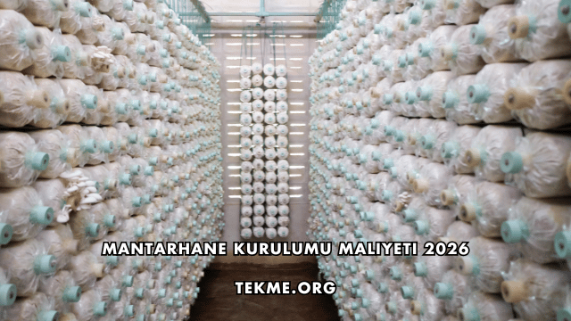 Mantarhane Kurulumu Maliyeti 2026