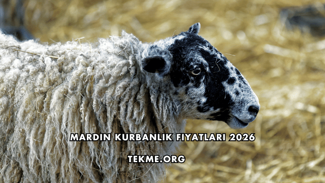 Mardin Kurbanlık Fiyatları 2026