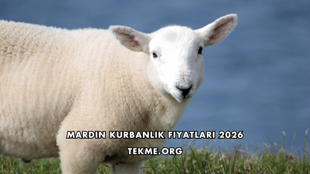 Mardin Kurbanlık Fiyatları 2026