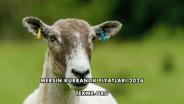 Mersin Kurbanlık Fiyatları 2026