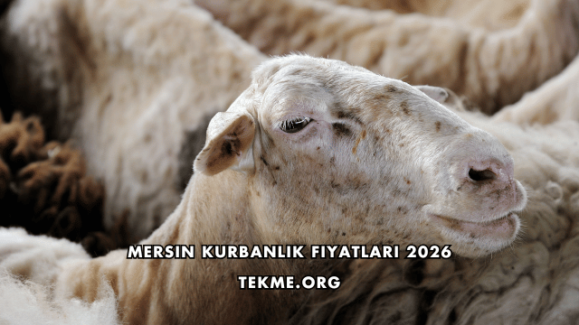 Mersin Kurbanlık Fiyatları 2026