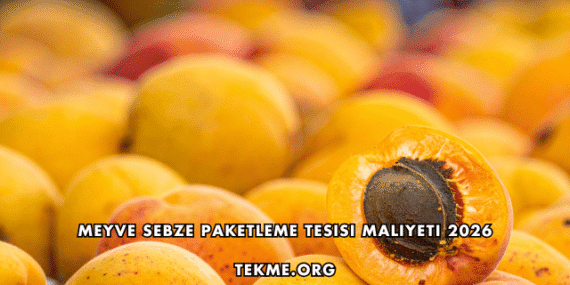 Meyve Sebze Paketleme Tesisi Maliyeti 2026