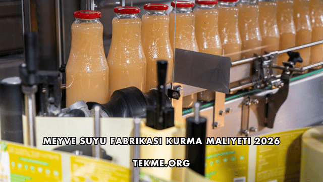 Meyve Suyu Fabrikası Kurma Maliyeti 2026