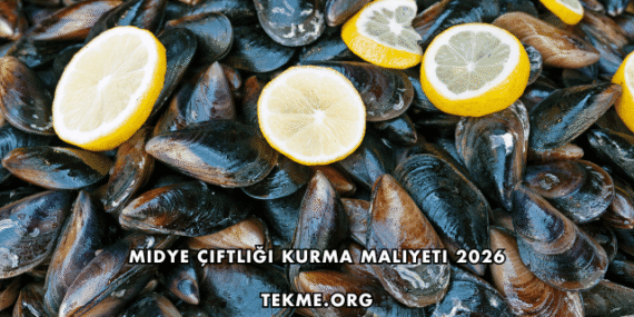 Midye Çiftliği Kurma Maliyeti 2026