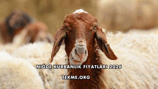 Niğde Kurbanlık Fiyatları 2026