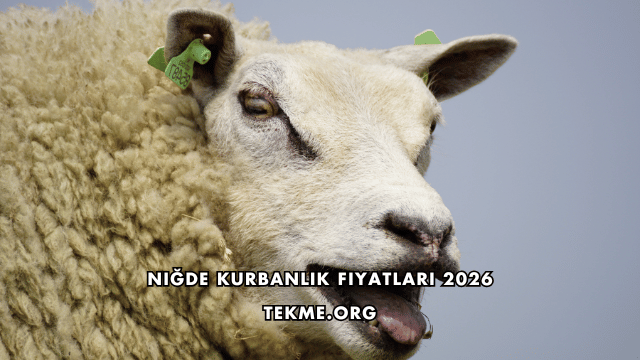 Niğde Kurbanlık Fiyatları 2026