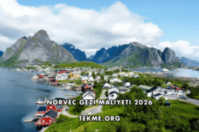Norveç Gezi Maliyeti 2026