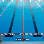 Olimpik Yüzme Havuzu Maliyeti 2026