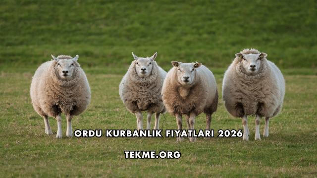 Ordu Kurbanlık Fiyatları 2026