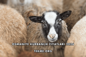 Osmaniye Kurbanlık Fiyatları 2026