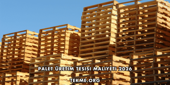 Palet Üretim Tesisi Maliyeti 2026