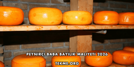 Peynirci Baba Bayilik Maliyeti 2026