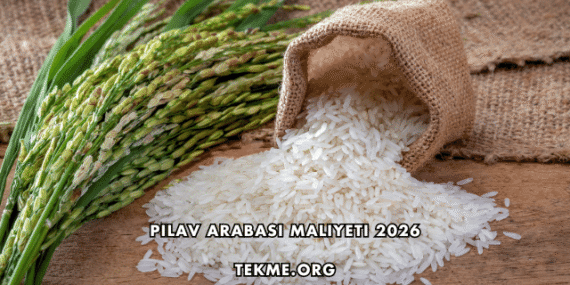 Pilav Arabası Maliyeti 2026