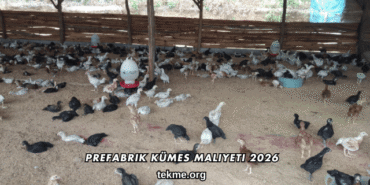 Prefabrik Kümes Maliyeti 2026