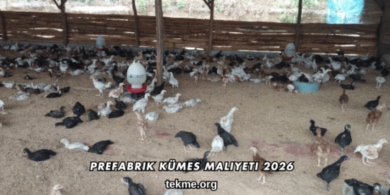 Prefabrik Kümes Maliyeti 2026