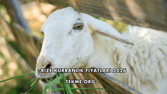 Rize Kurbanlık Fiyatları 2026