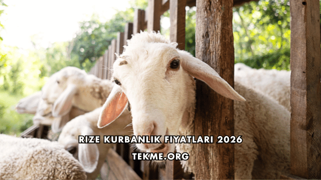 Rize Kurbanlık Fiyatları 2026