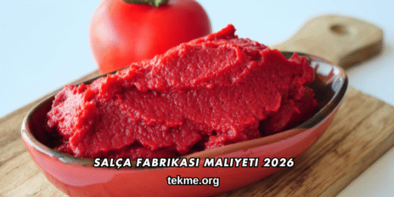 Salça Fabrikası Maliyeti 2026