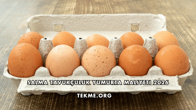 Salma Tavukçuluk Yumurta Maliyeti 2026
