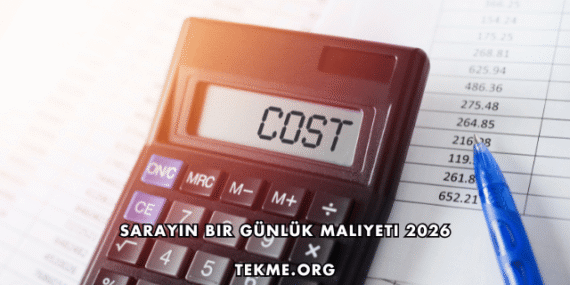 Sarayın Bir Günlük Maliyeti 2026