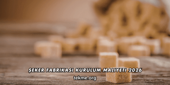 Şeker Fabrikası Kurulum Maliyeti 2026