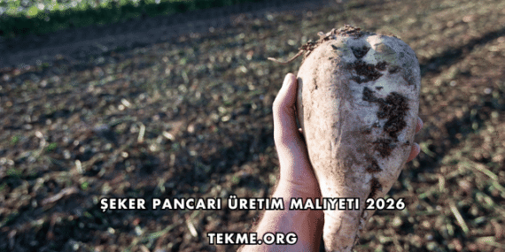 Şeker Pancarı Üretim Maliyeti 2026