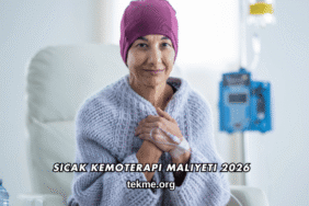 Sıcak Kemoterapi Maliyeti 2026