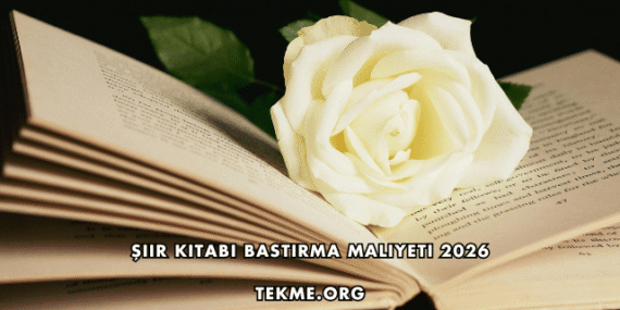 Şiir Kitabı Bastırma Maliyeti 2026