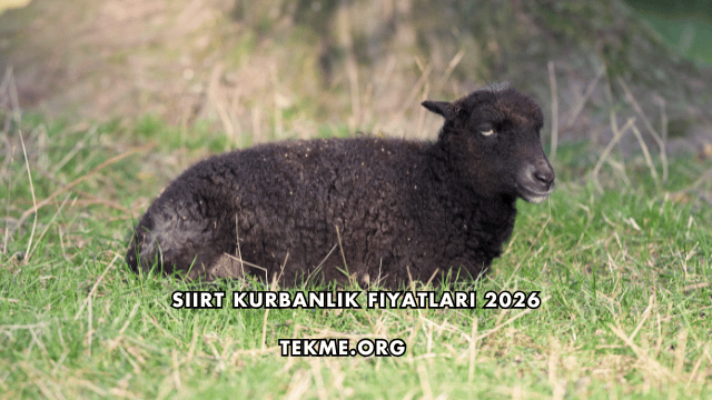 Siirt Kurbanlık Fiyatları 2026