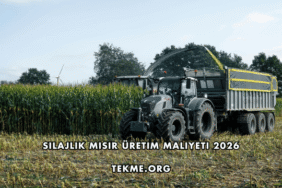 Silajlık Mısır Üretim Maliyeti 2026
