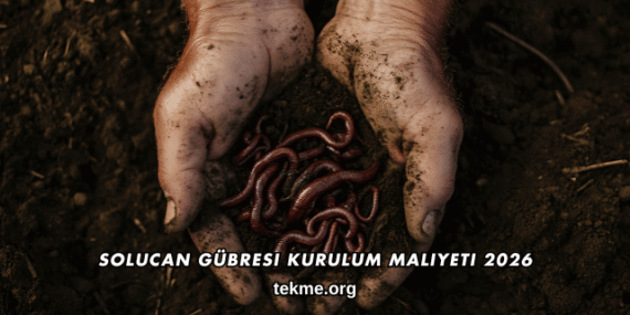 Solucan Gübresi Kurulum Maliyeti 2026