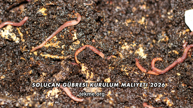 Solucan Gübresi Kurulum Maliyeti 2026