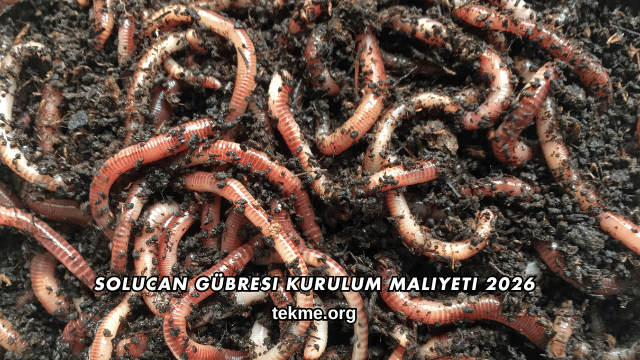 Solucan Gübresi Kurulum Maliyeti 2026